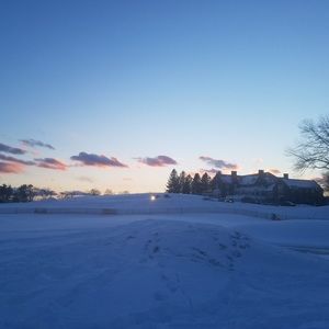 Meet your Posher, Carolina